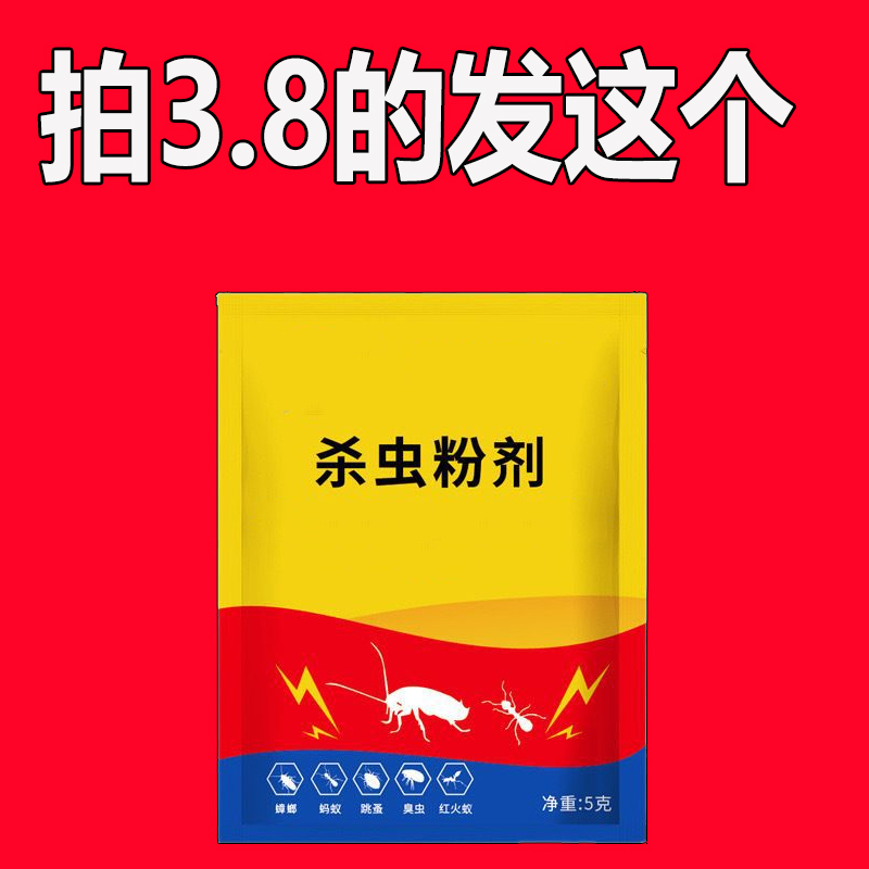 加入传奇sf，与你的英雄伙伴并肩作战，共创辉煌